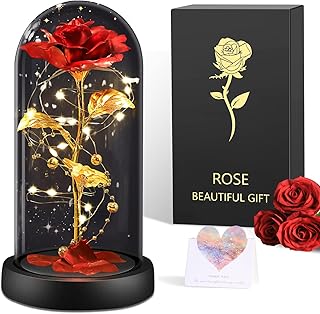 BOLEi Rose Eternelle Cadeau pour Femmes, Rose sous de La Belle et La BĂȘte, Rose Rouge Classique avec LED, PrĂ©sent Romantique pour Femme, Cadeaus pour Elle, Maman Amie Ăpouse SĆur