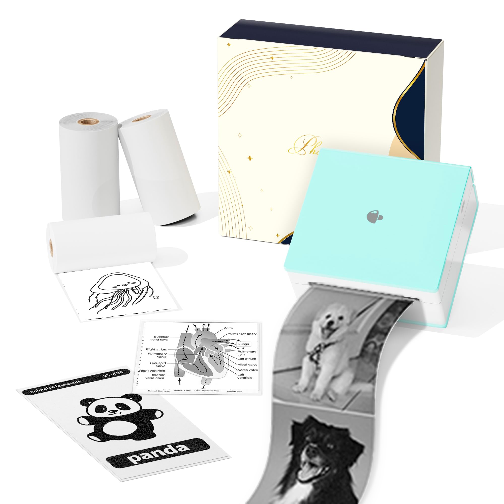 MemokingSticker Printer, M02 Mini Printer Portable Bluetooth Mini Printer Sticker Maker with 3 Rolls Paper, Print Pods Mini Printer Pocket Printer with Multiple Templates for Phone & Tablet, Green