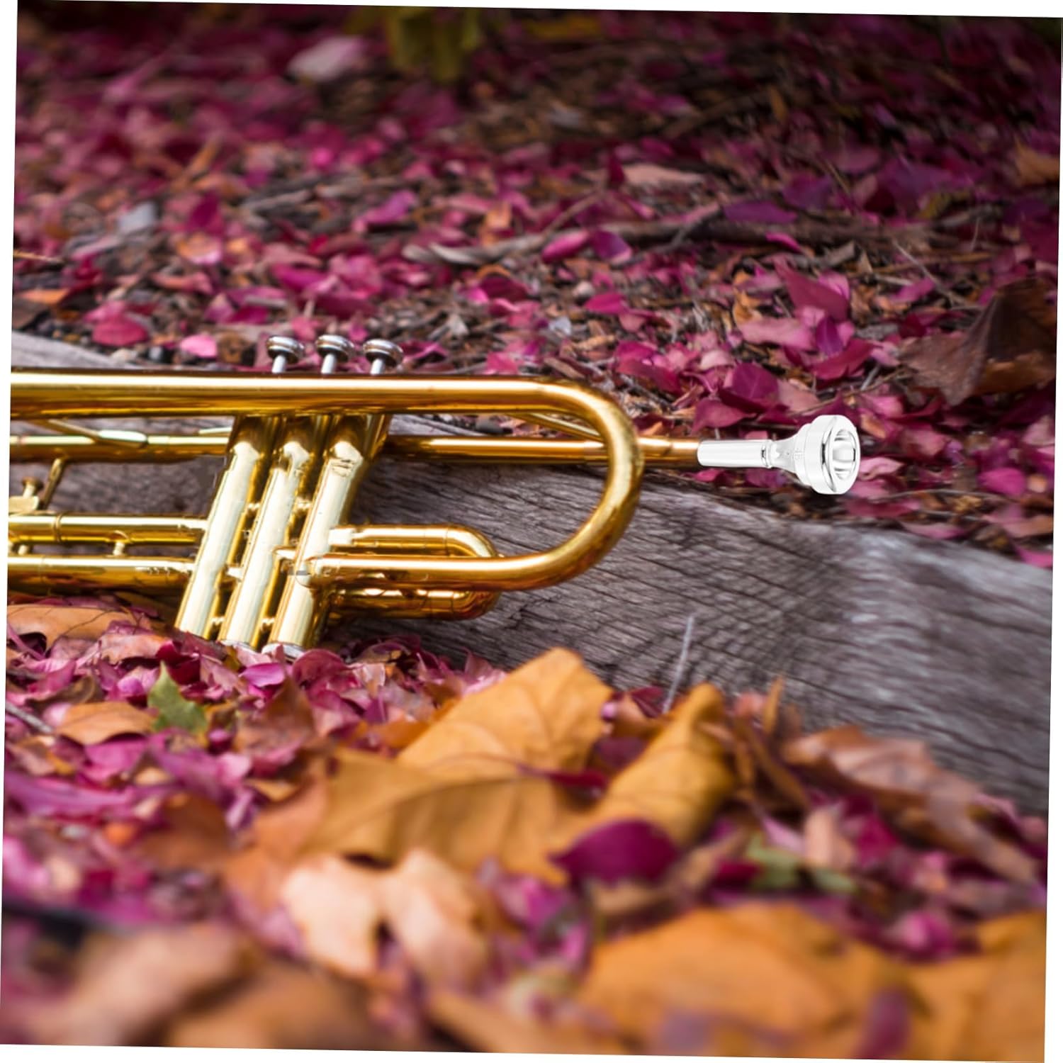 Toyvian Cornet Mouthpiece for Beginners Metal Replacement Accessory Produces Rich Sound and Comfortable Playing