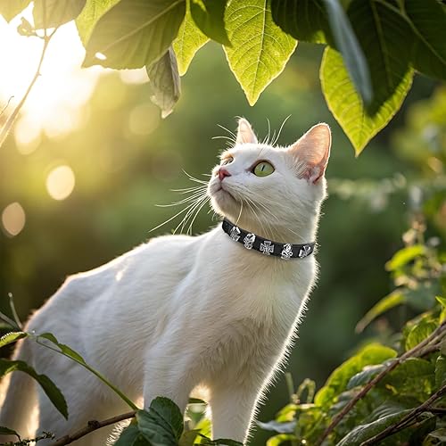 EXPAWLORER Halloween Cat Collar for Girl Boy- Adjustable Leather Pet Collar with Safety Elastic Belt,Personalized Punk Accessories Buckle Collars with Bell & Durable D-Ring, Skull(Black)(Black (Skull),7"-9")