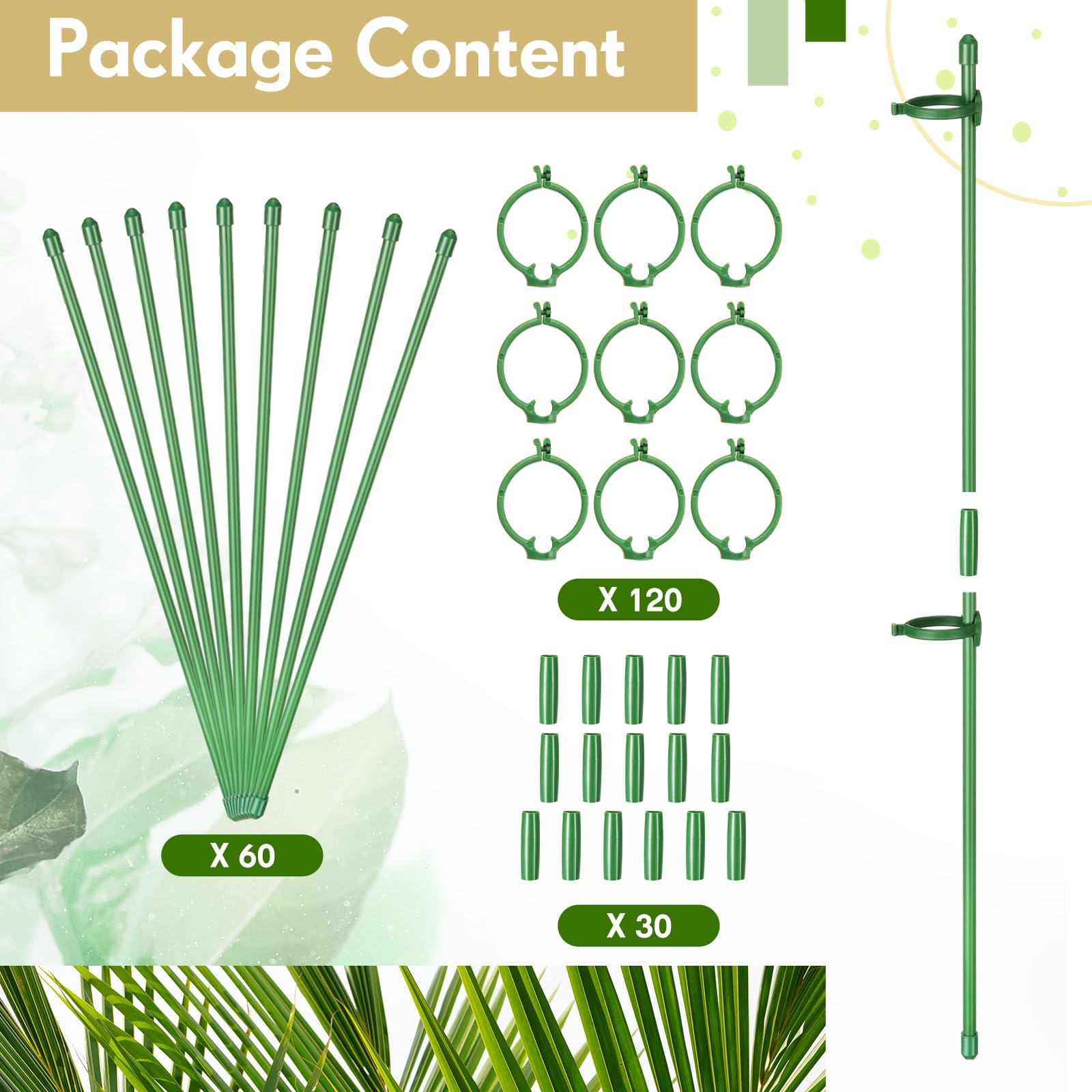 meekoo Lot de 60 piquets de support réglables pour plantes de jardin avec clips et tuyau de connexion pour orchidée, rose, tomate, 30,5 cm (vert)