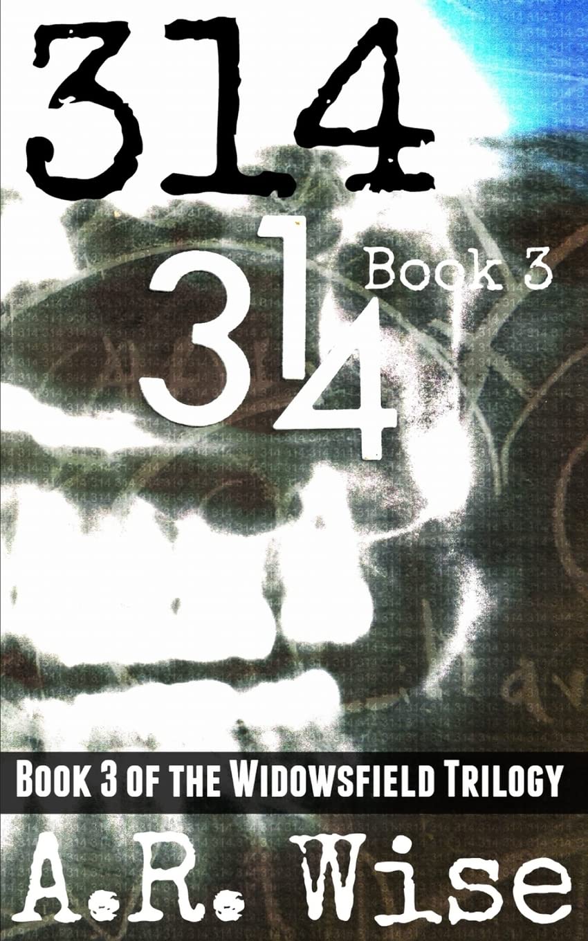 314 Book 3: Volume 3 (The Widowsfield Trilogy)
