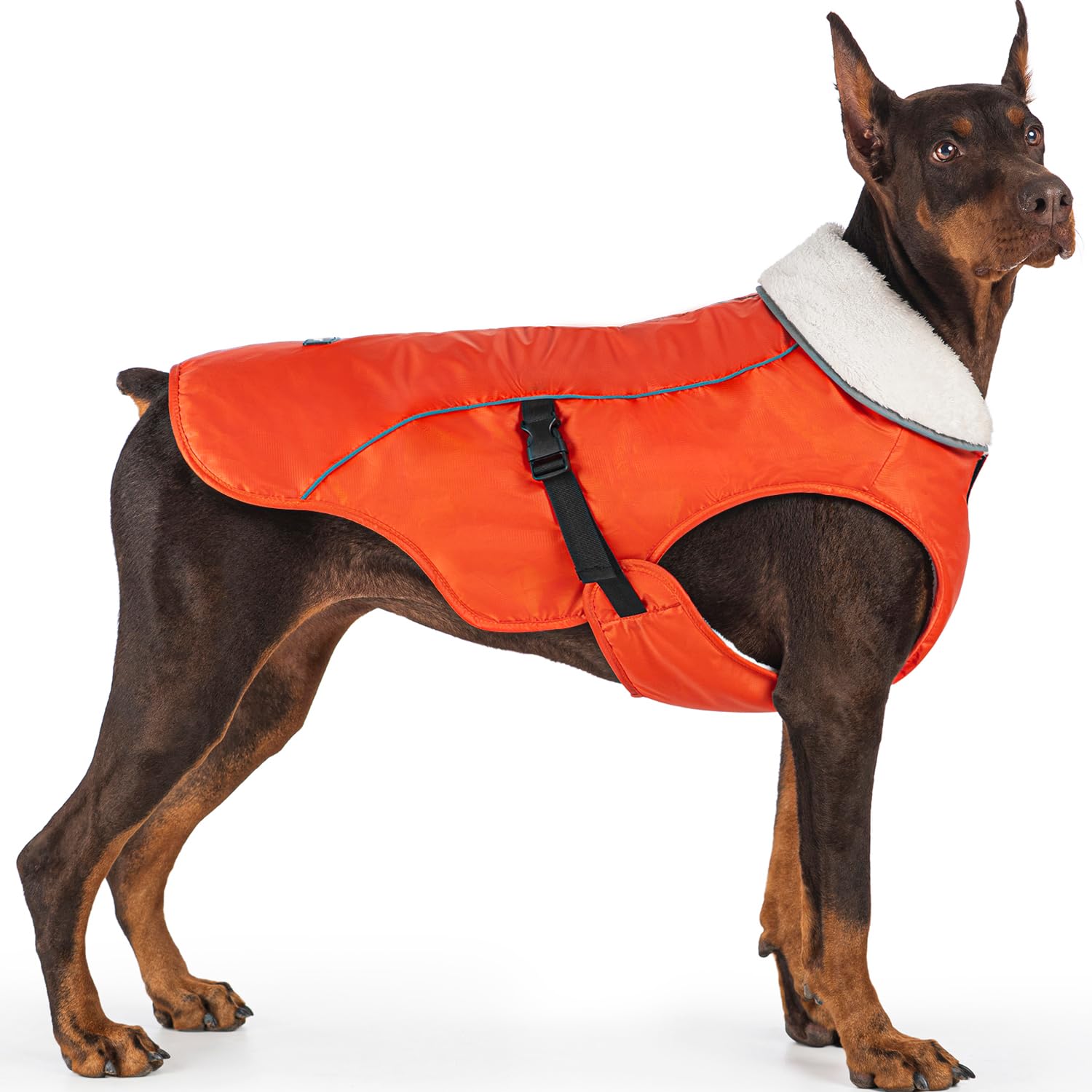 EMUST Abrigo de invierno para perro, chaqueta gruesa resistente al viento para perro, chaleco de invierno para perros pequeños/medianos/grandes, naranja, XXL