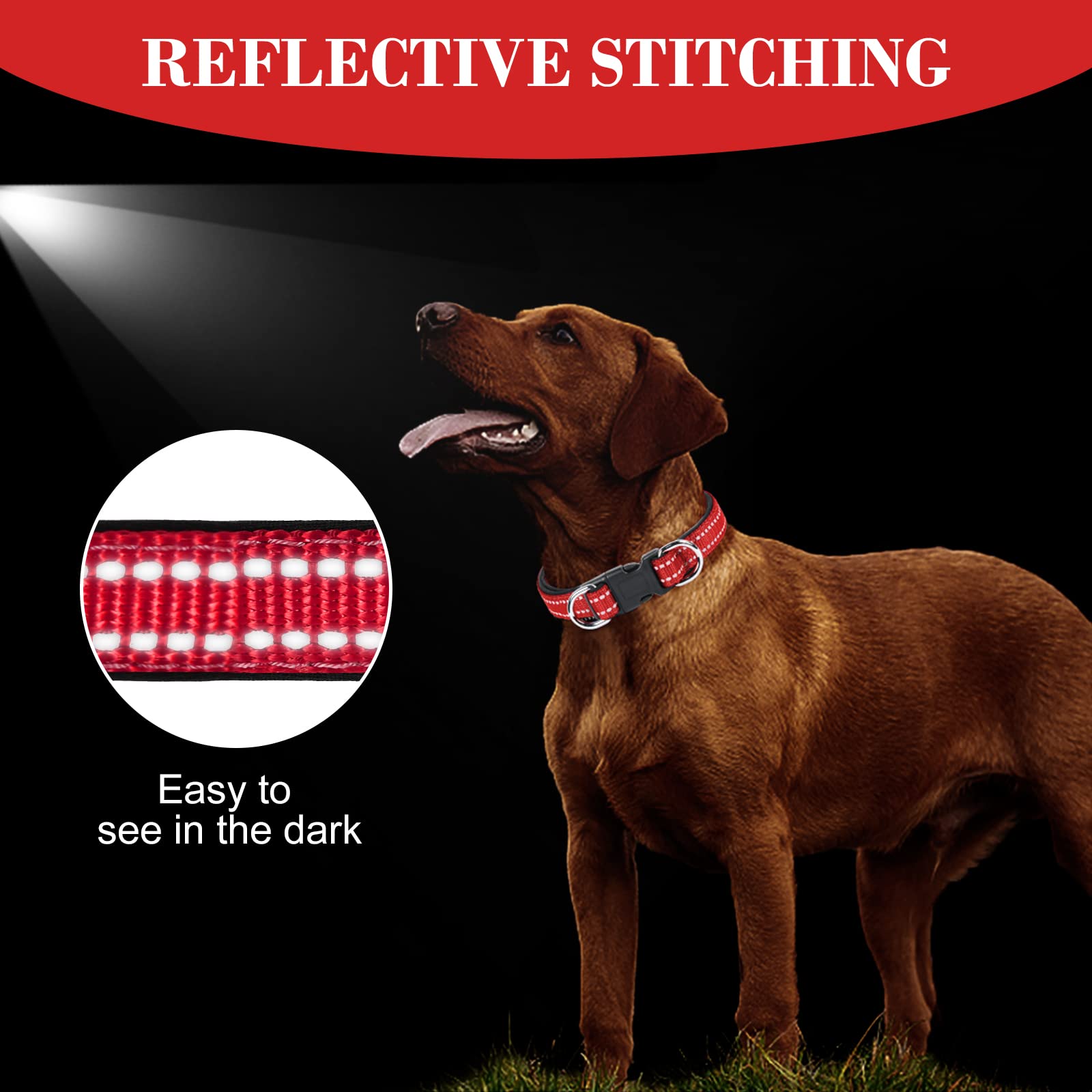 AUAUY Collare Cane, Collare per Cani in Nylon Riflettente, Regolabile Collari, Anello Doppia D, Fibbia Staccabile, Morbido e Imbottito, per Cani di Taglia Piccola, Media e Grande (Rosso-L)