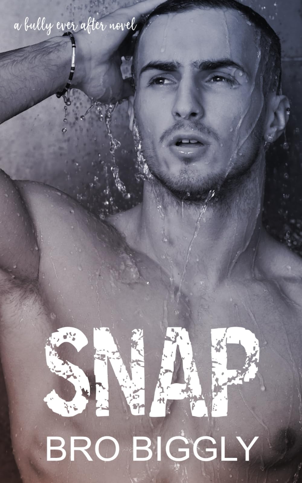 Snap: A Bully Ever After Novel