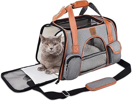 secure cat carrier