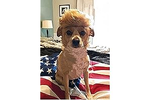 Donald Trump Wig for Dog, Canine Wig with Tie and Collar, Perfect...