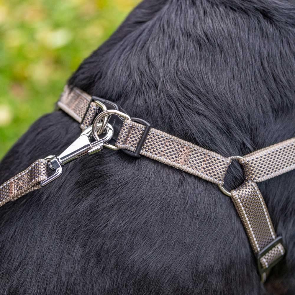 Reflective Padded Dog Harness by Ferplast
