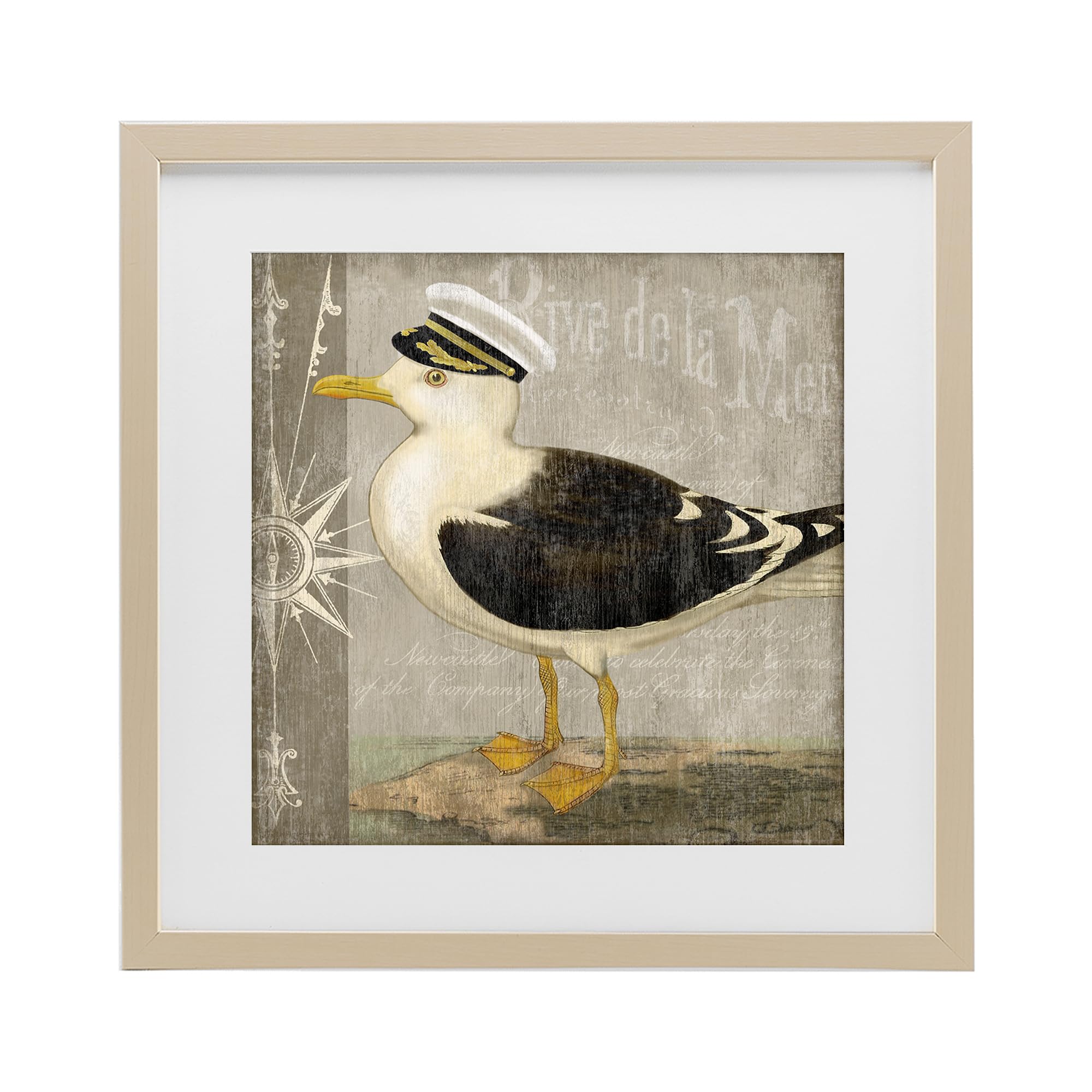 Stupell Industries Harvest Pine (Textured) 'Little Maritime Seagull'| Framed Print Under Glass