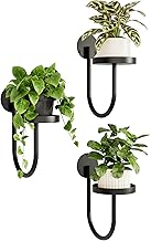 Bamworld Metal Indoor Plant Rack Wall Mounted Modern Indoor Plant Stand, Space Saving Indoor Plant Stand, Minimal Black Design, Suitable for Living Room, Balcony and Garden