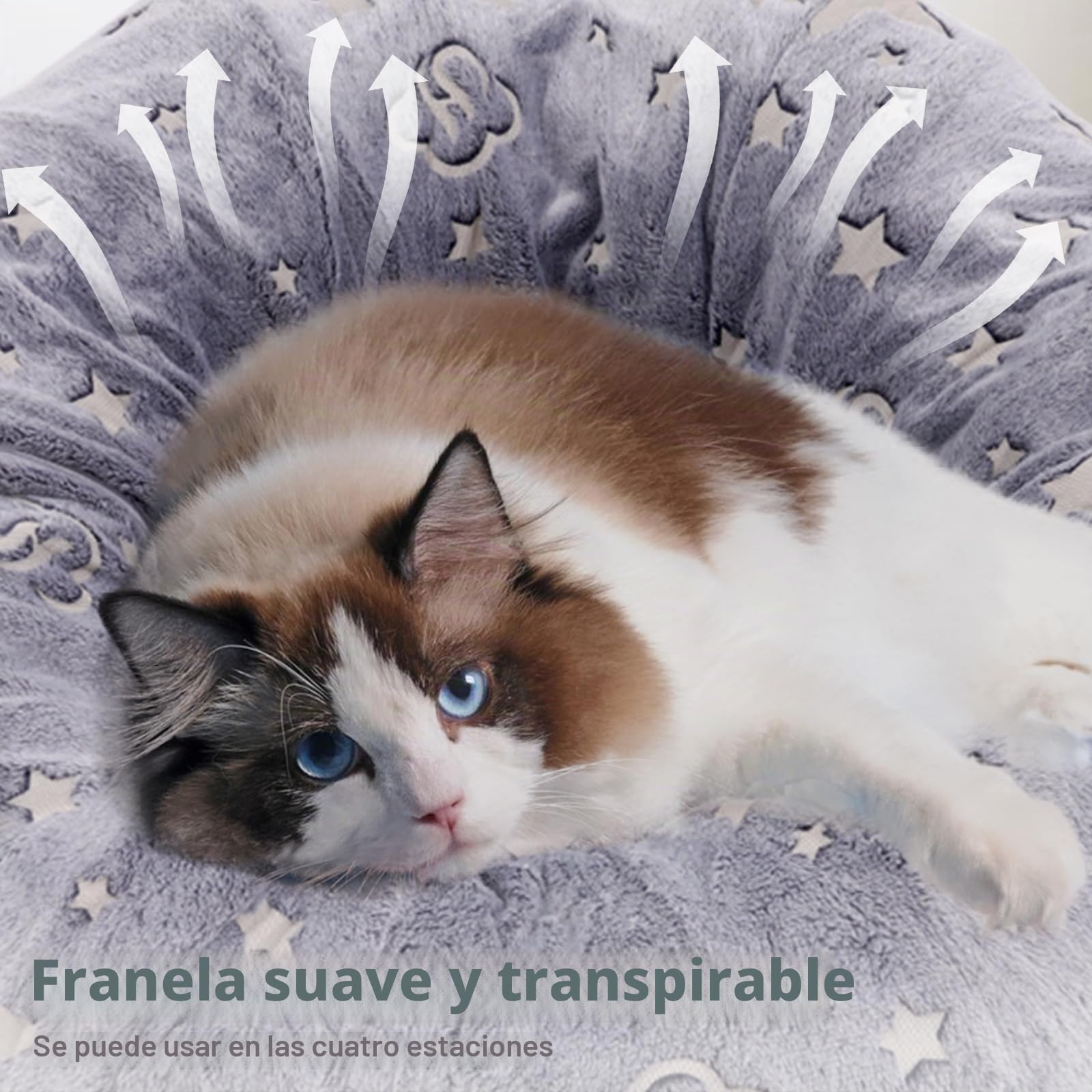 Tunel para Gatos, Túnel Redondo de Cama Tunel para Gatos, con Alfombrilla de cojín Donut Forma Circular Plegable extraíble, Juguetes para Gatos Interactivos para Interiores
