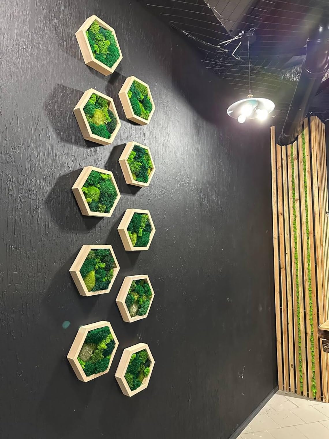 Moss Hexagons