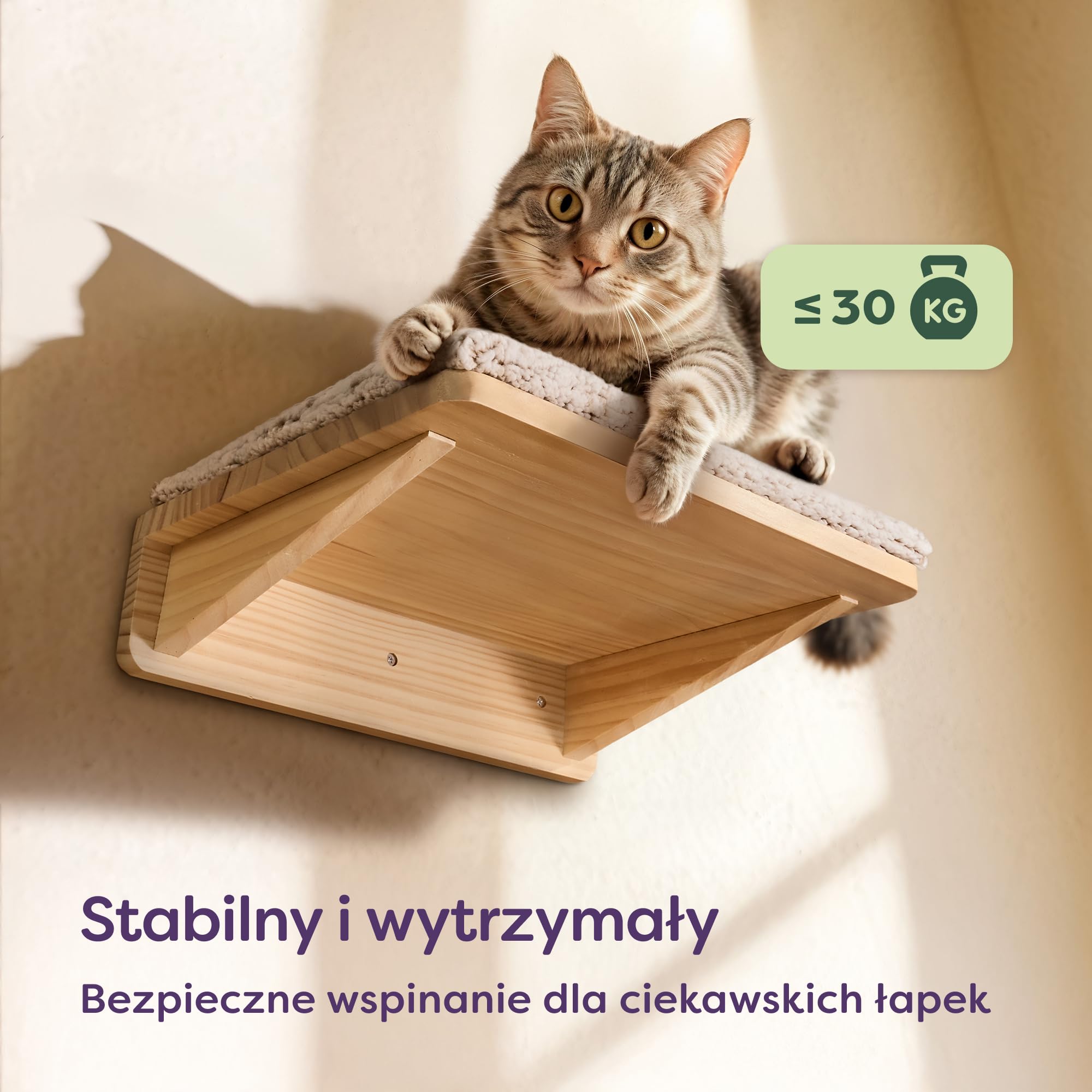 Knupis Zestaw Ściennej Drabinki dla Kota z Legowiskiem & 2x Schodkami – FSC® Lite Drewno Sosnowe, Stabilna Półka Ścienna do 30 kg – dla Zabawy i Wygody - Beżowy | Wykonany z litego drewna sosnowego FSC, stabilny leżak ścienny, zapewniający zabawę i przytu
