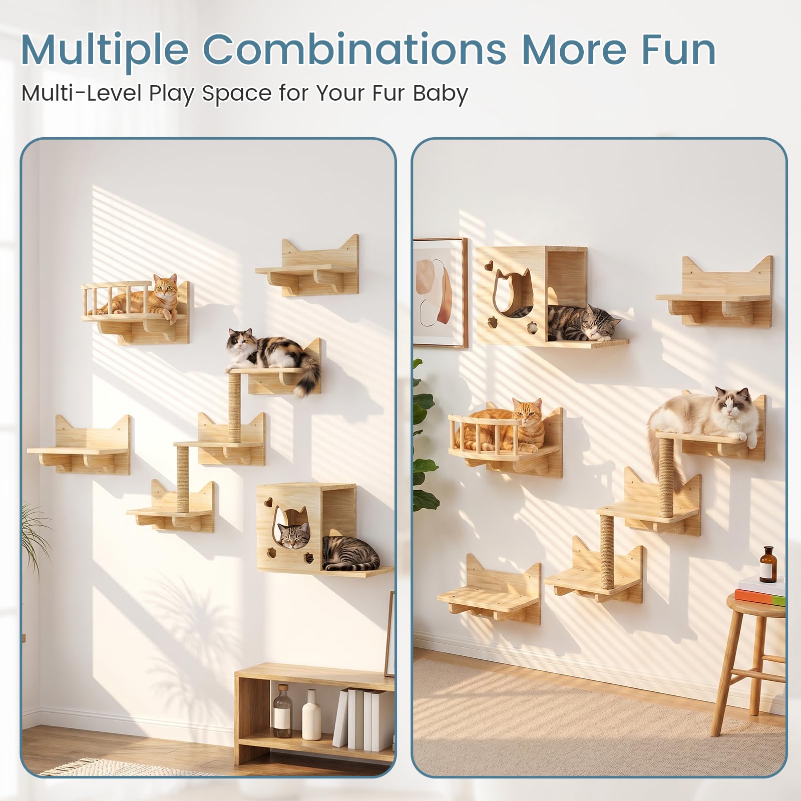 Ensemble de mur d'escalade pour chat, arbre à chat | Hamac en panneau multiplex robuste pour chat avec maison pour chat, pont pour chat, arbre à chat