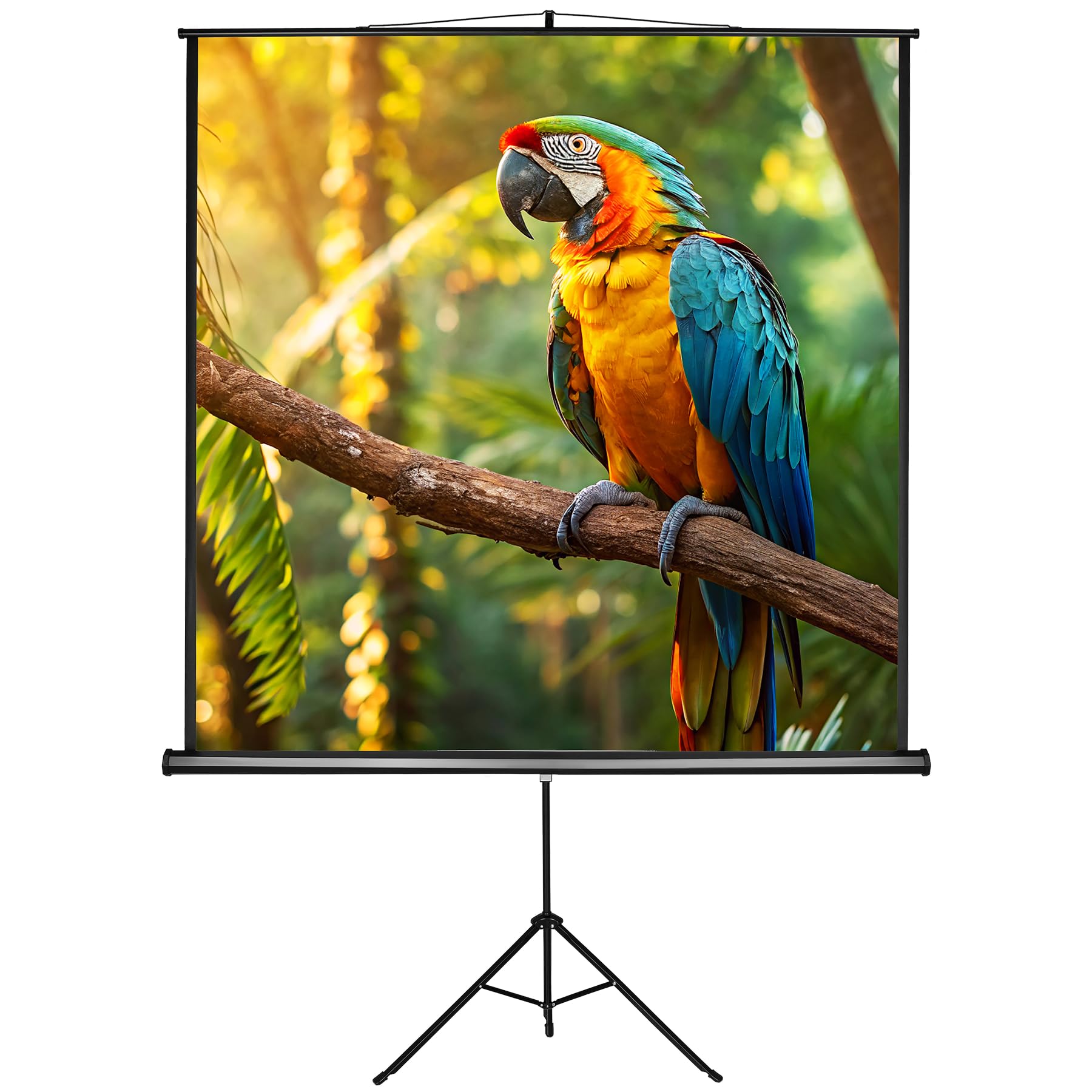 tectake® Pantalla Proyector Enrollable y Retráctil, Montaje en Pared y Techo, Formatos 1:1, 4:3y 16:9, Optimizado para HDTV y 3D, Factor de Ganancia 1,0, Tela Projector - 160 x 90 x 220 cm