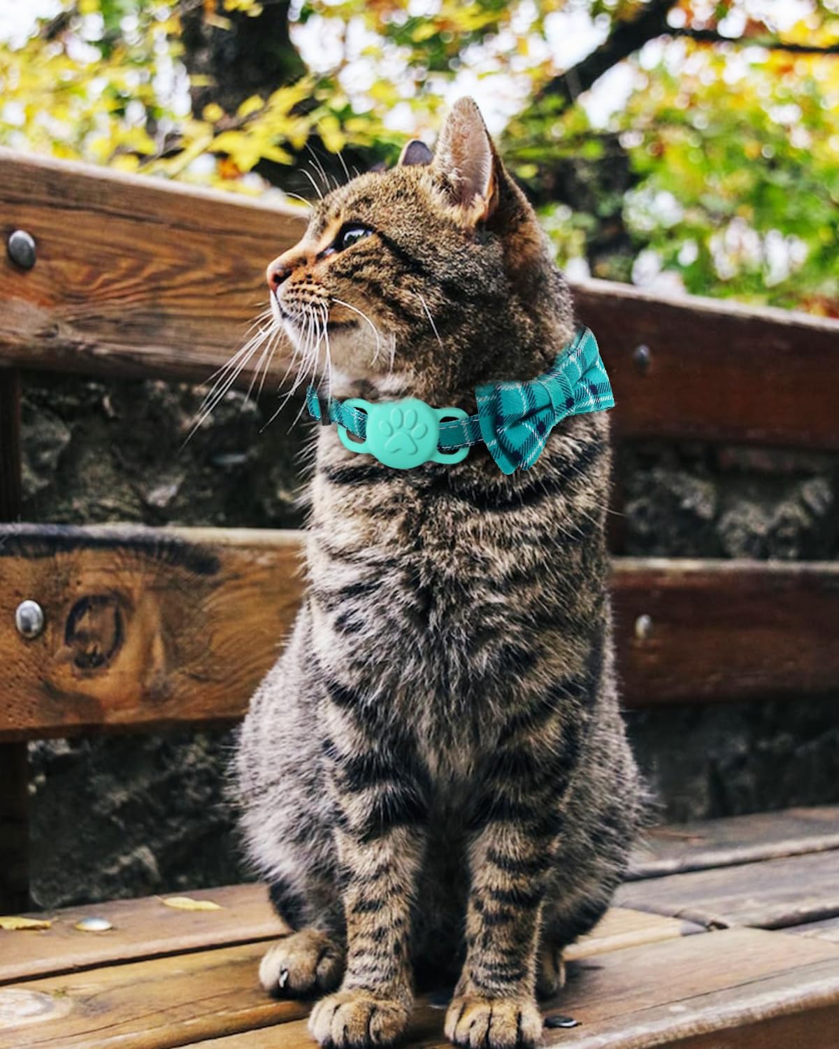Cat Collar With Bell - Stretch Elastic Quick Release, Adjustable & Lightweight, Safe For Kittens
