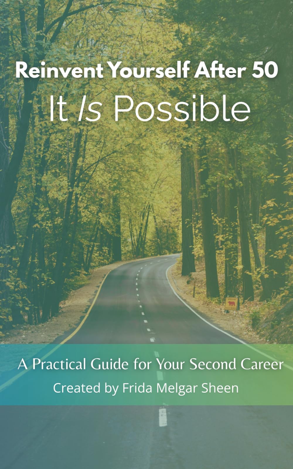 Reinvent yourself after 50: It Is Possible: A practical guide for your second career