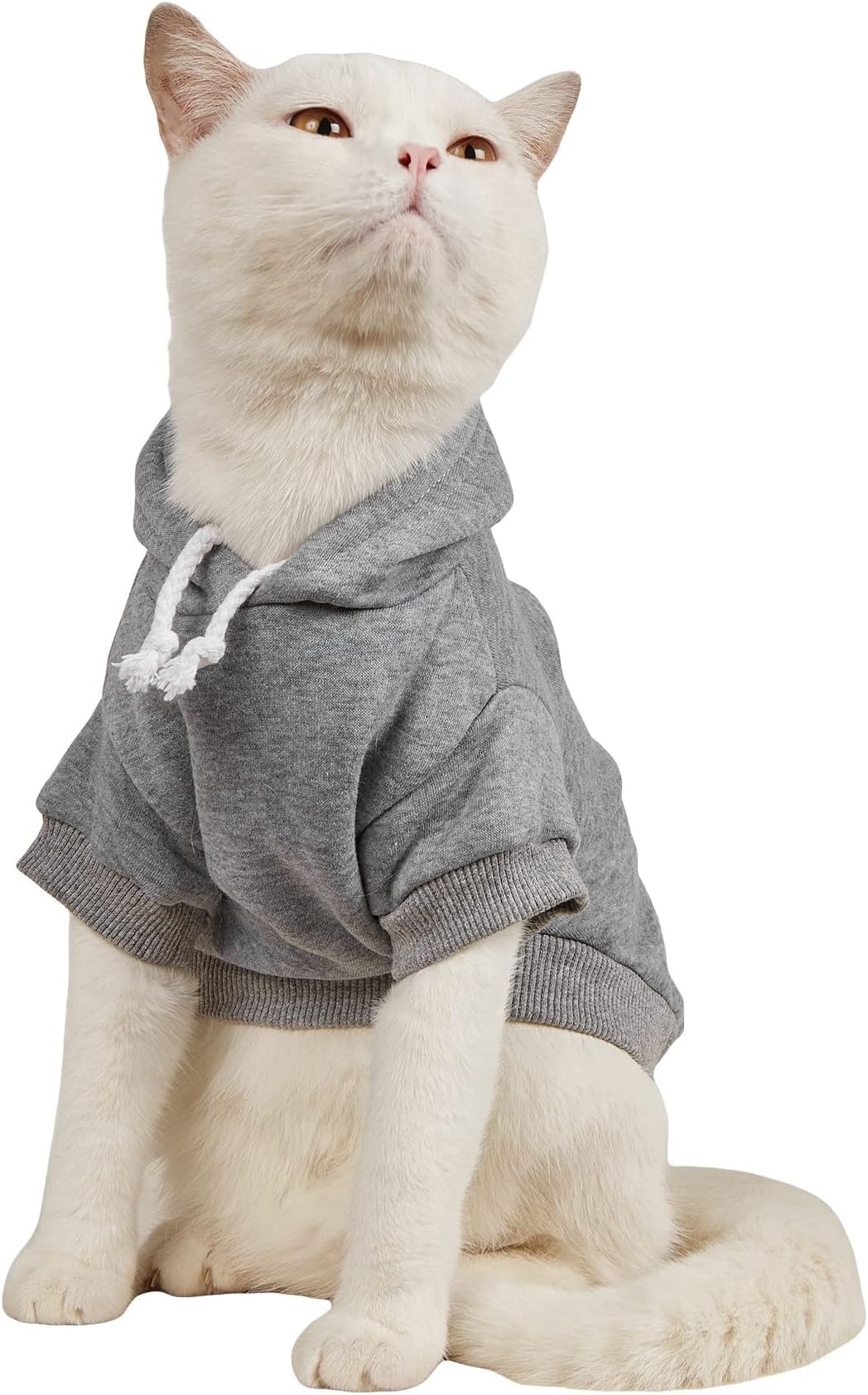 QWINEE Basic Dog Hoodie, Dog Warm Jacket, Cat Apparel, Dog Shirt, Dog Clothes for Puppy Kitten Small Medium Dogs Cats Light Grey X-Large