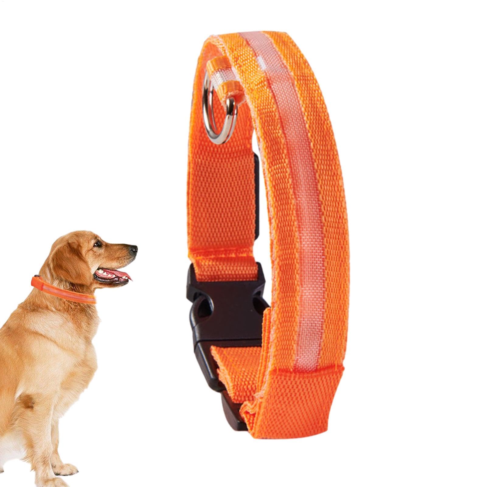LED | Collare luminoso lampeggiante per cani, collari regolabili che | brillano al buio per cuccioli, cani di taglia media e piccola.