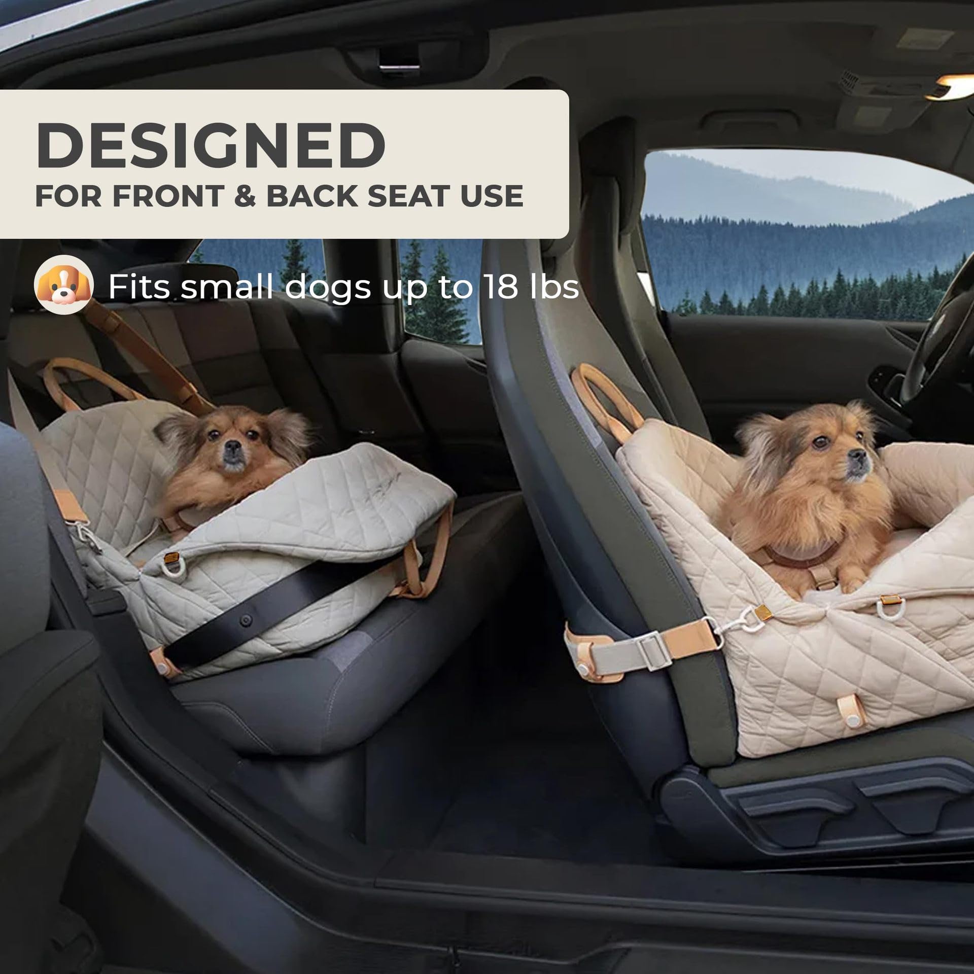 Seggiolino auto per cani di piccola taglia, seggiolini per animali domestici per auto con guinzaglio di sicurezza a clip, rimovibile e lavabile, lettino da viaggio sotto i 11,3 kg