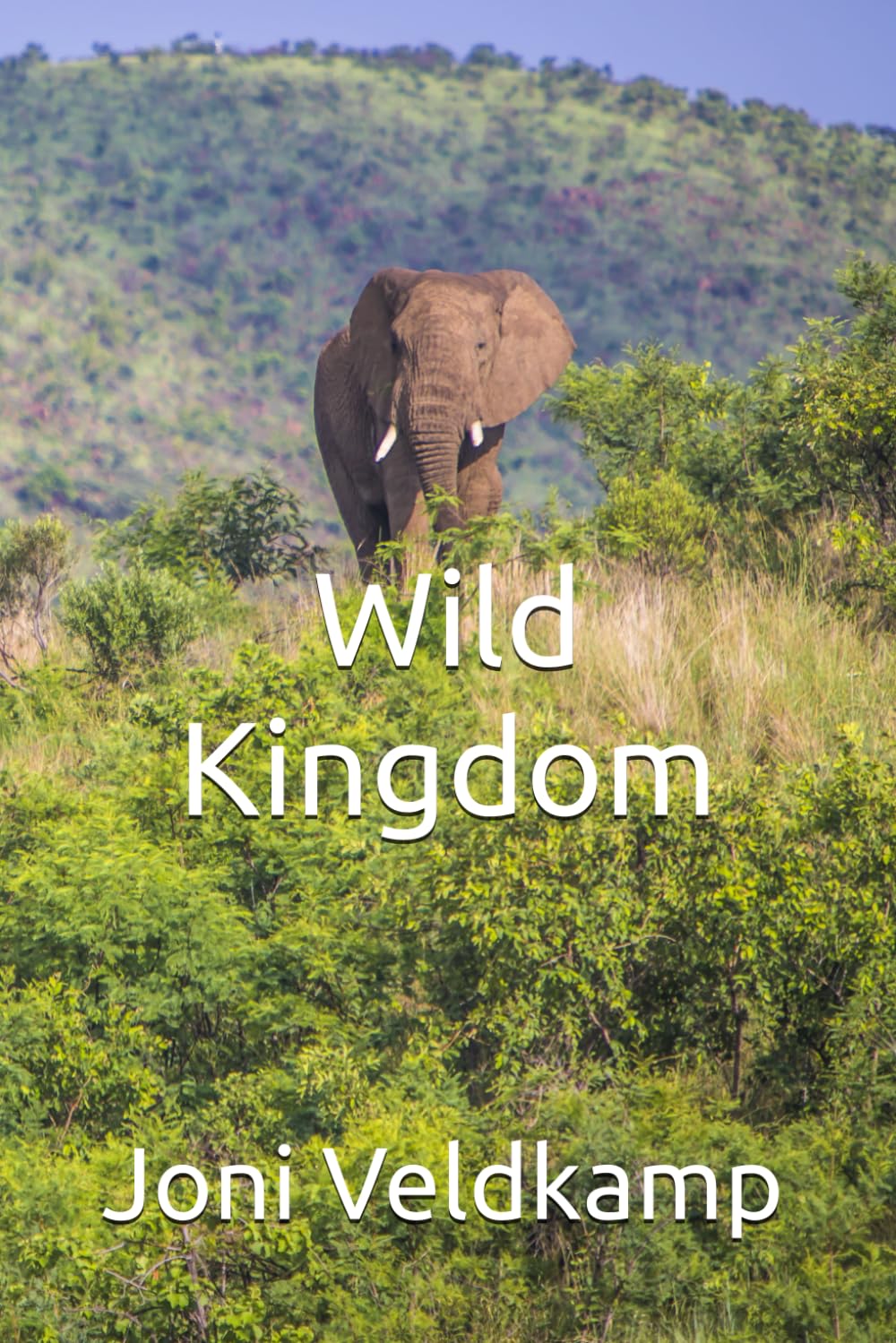 Wild Kingdom (Amazing Animals)