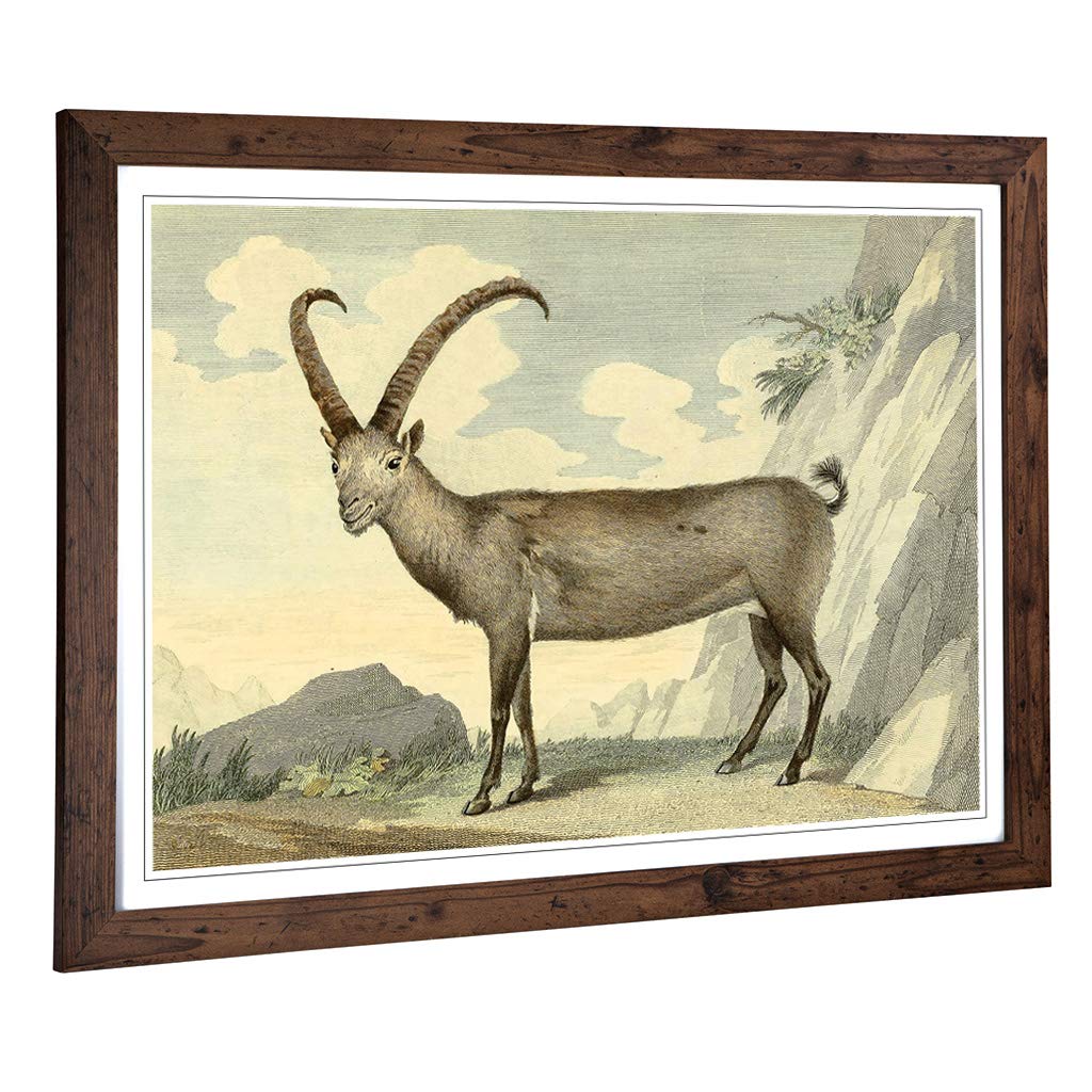 Big Box Art Framed Print of Vintage Charles R Ryley Steinbock Design | Wall Art Picture | Home Decor for Kitchen, Living Room, Bedroom, Hallway, Walnut, A2 / 24.5x18 Inch / 62x45cm
