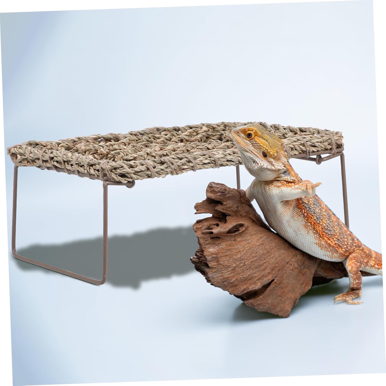 BESPORTBLE Reptile Lizard Habitat Decor Natural Grass Lizard Hammock Bearded Dragon Bed Easy Maintenance
