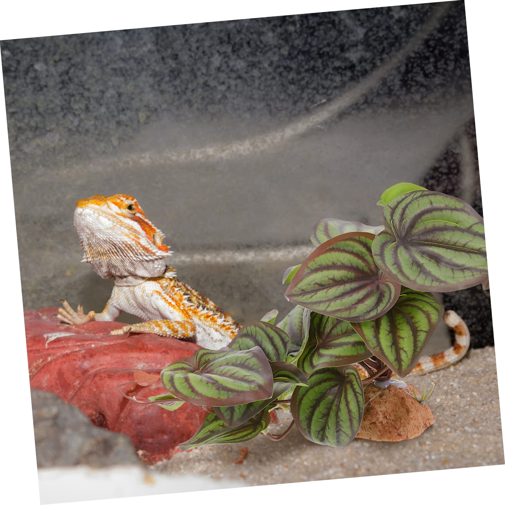 DOITOOL 3 Piezas De Decoración De Terrario Plantas Artificiales Falsas para Reptiles Camaleones Y Geckos.
