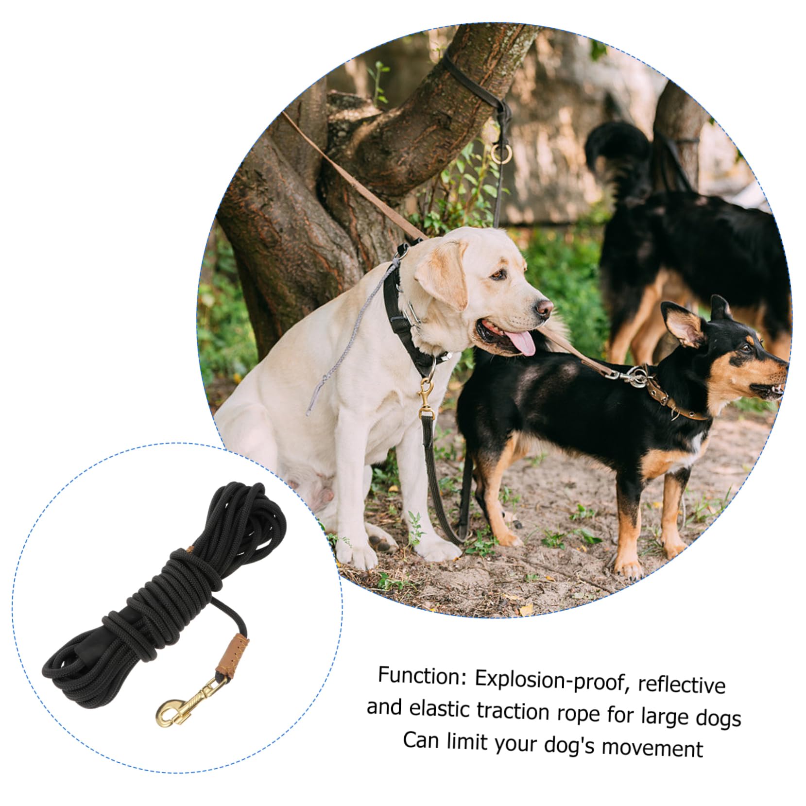 ibasenice Laisse De Promenade pour Chien Corde De Traction Laisse Entraînement pour Marche Corde De Sécurité pour Chien
