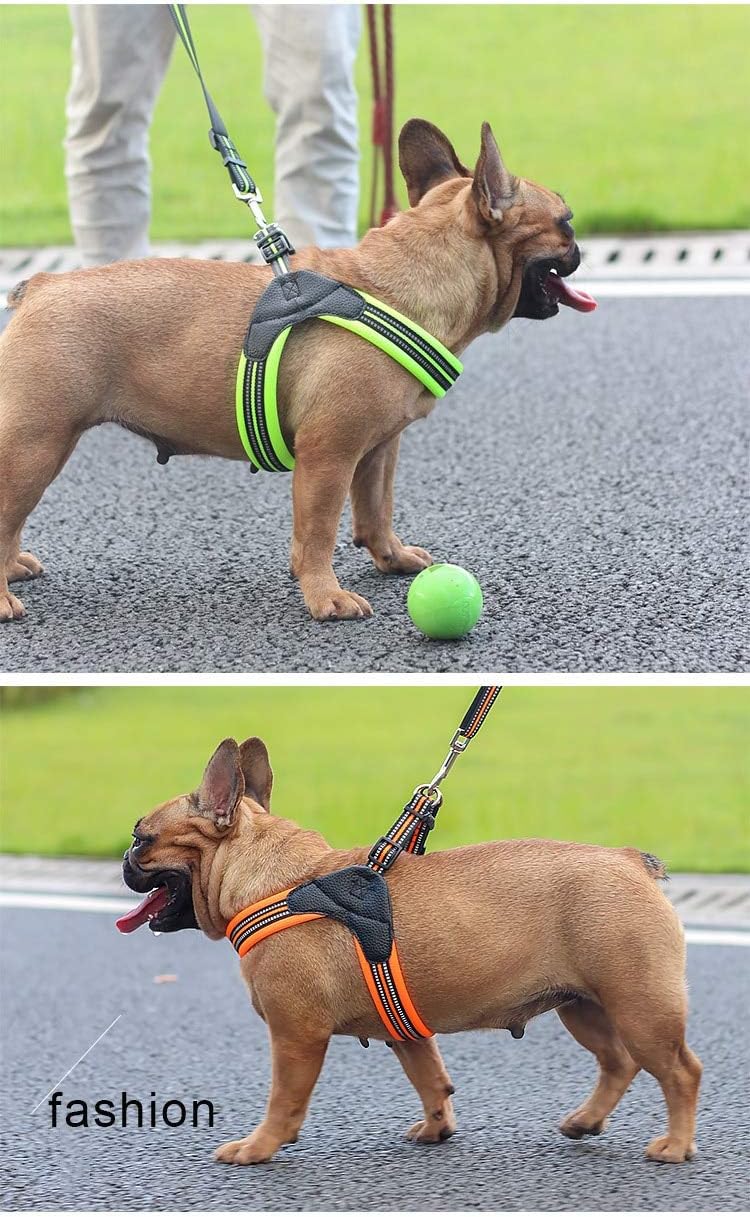 Breathable nylon mesh dog seat belt reflective adjustable dog seat belt and leash set dog pet collar leash dog accessories S orangeset