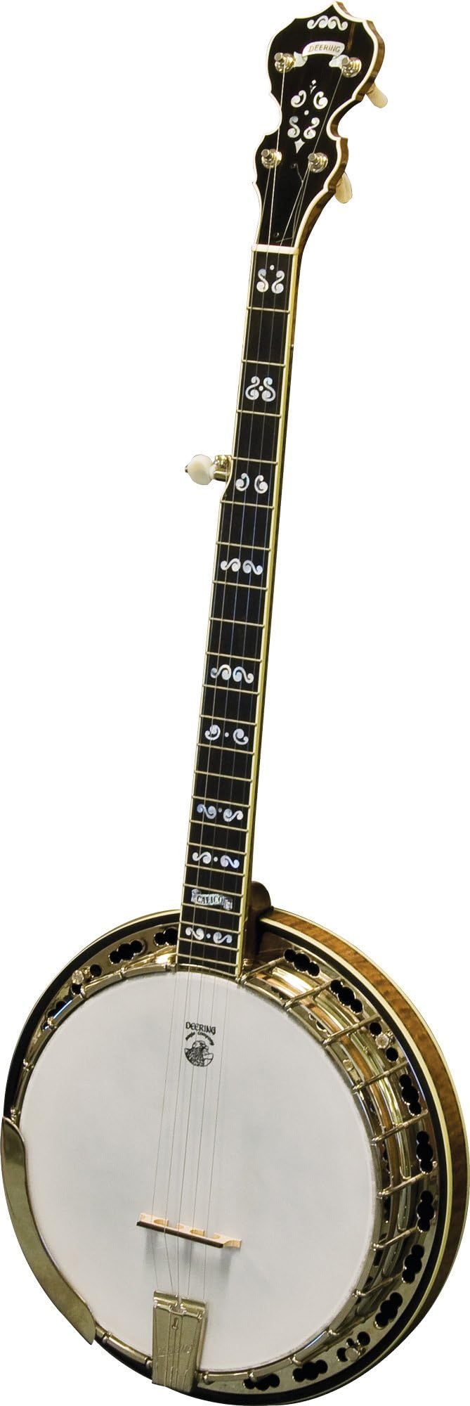 Calico 5-String Banjo