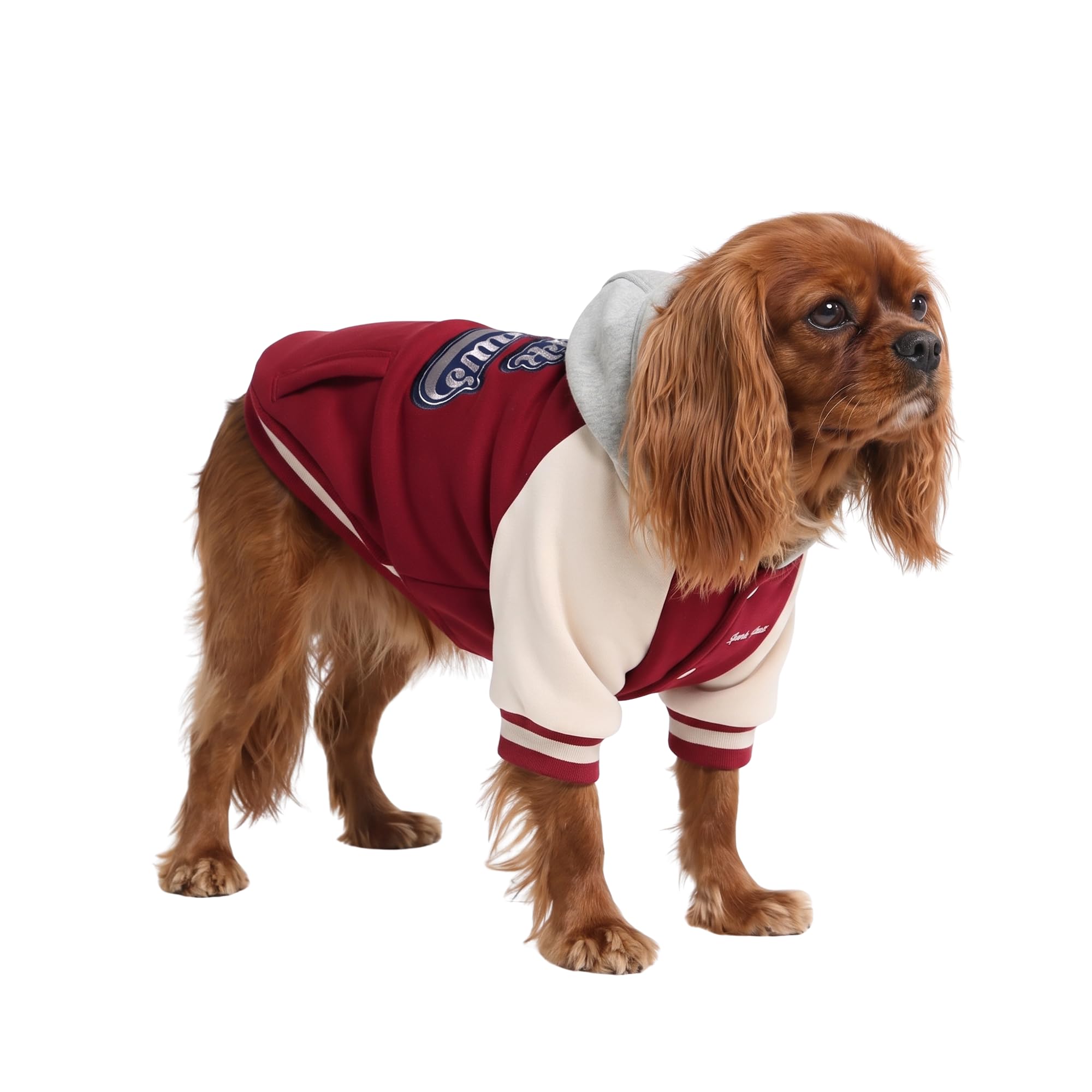 Spark Paws Varsity Dog Jacket - Dog Hoodie Winter Coat for Small Large Dogs