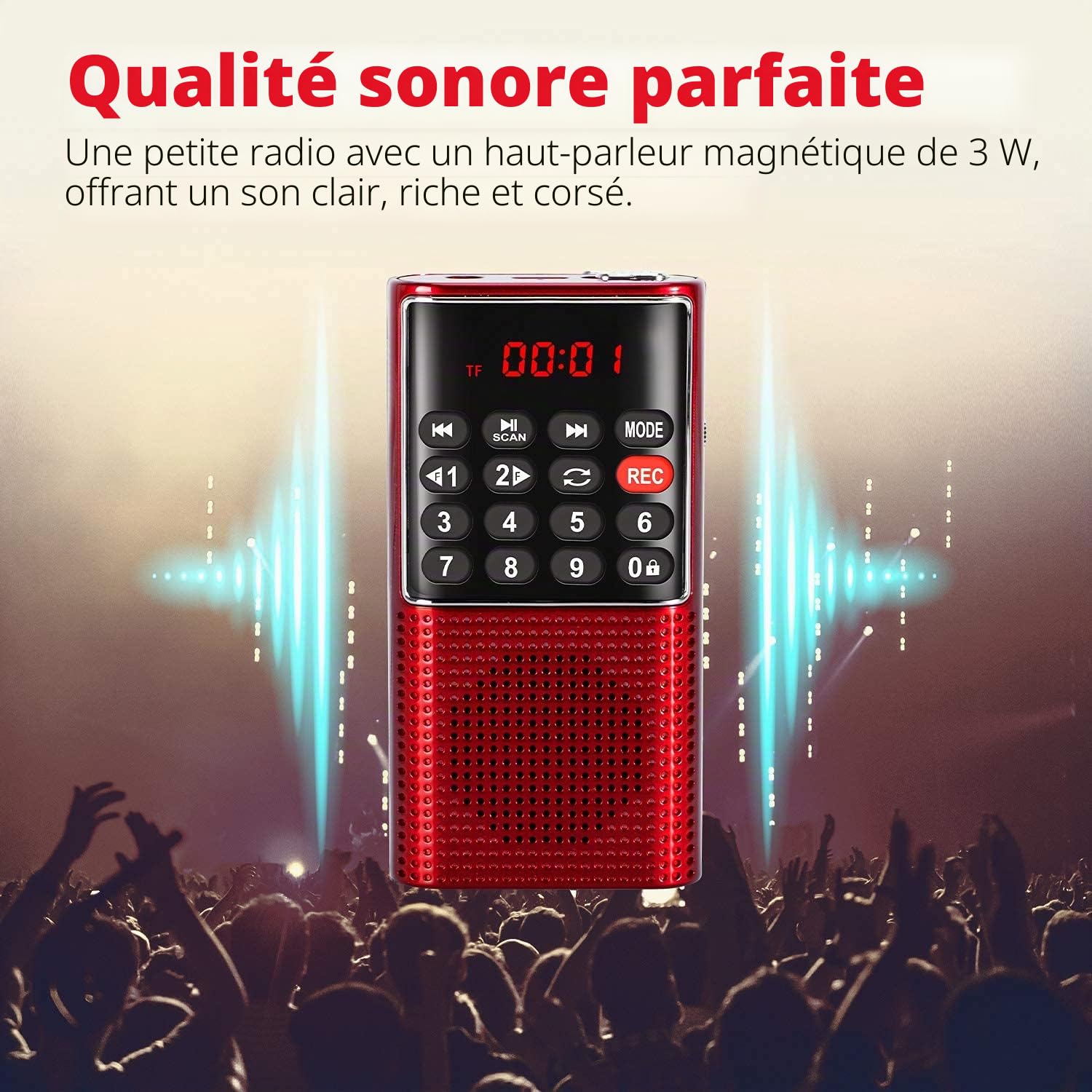 PRUNUS J-328 Radio Portable Rechargeable FM MP3 TF AUX USB-C Rose