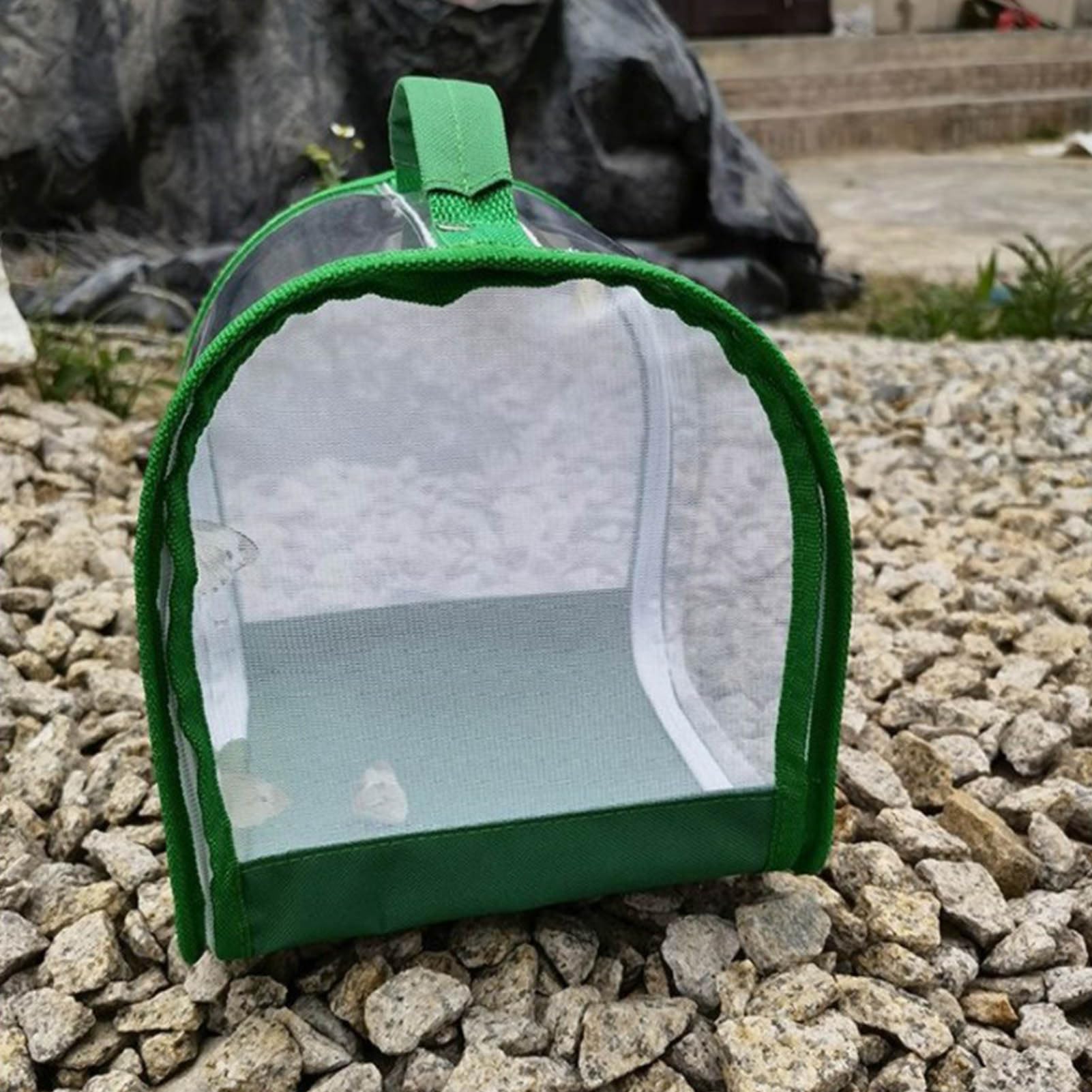 Set di allevamento di farfalle per bambini/adulti | Farfalla domestica | Insetto e Farfalla Habitat Gabbia di protezione per terrario | Allevamento cingolato dai 3 anni in su, verde