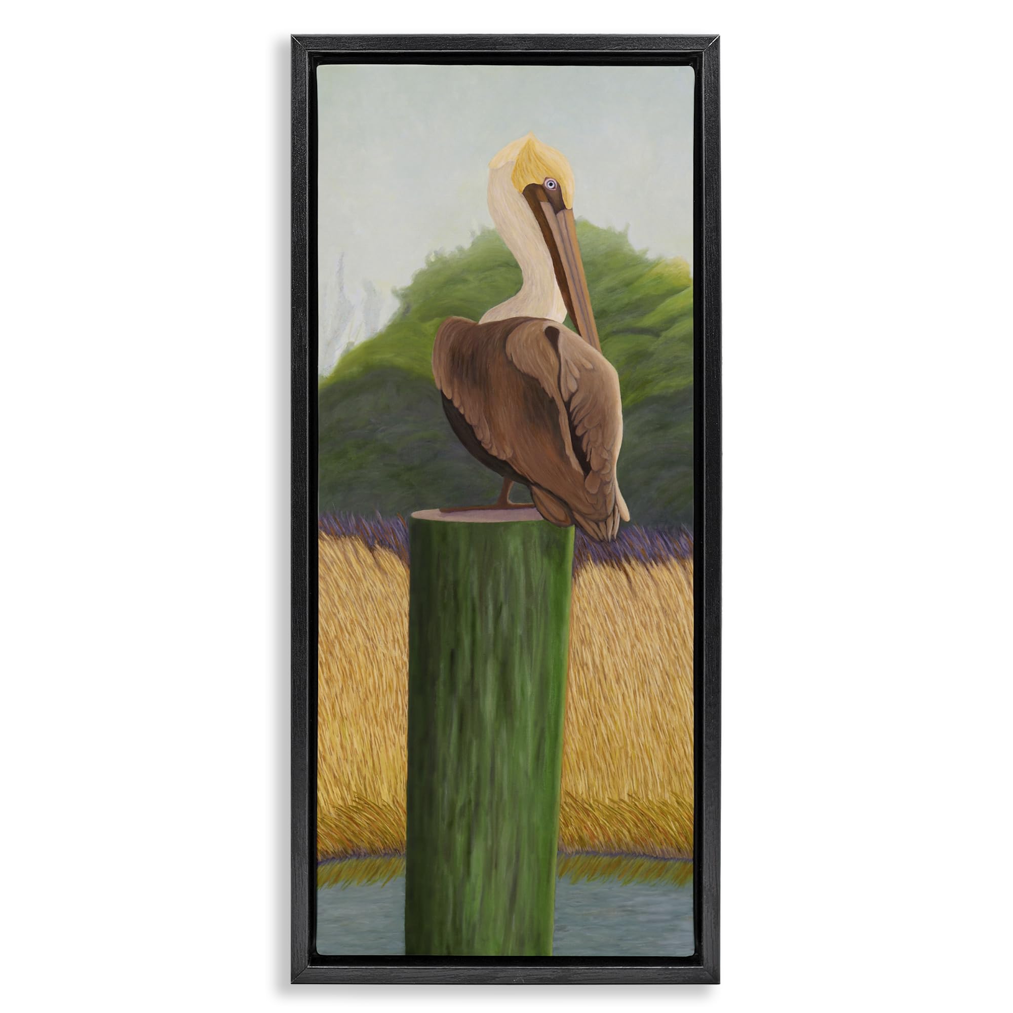 Stupell Industries 'Pelican with Blue Eyes', Floating Frame Canvas Art, Black, 15 x 31