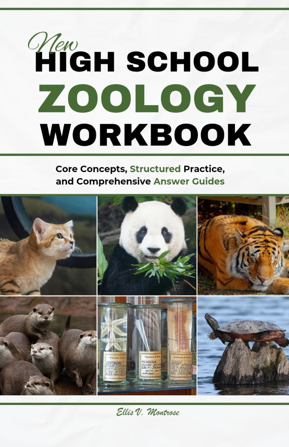 NEW HIGH SCHOOL ZOOLOGY WORKBOOK: Core Concepts, Structured Practice, and Comprehensive Answer Guides (NextGen Study Series)