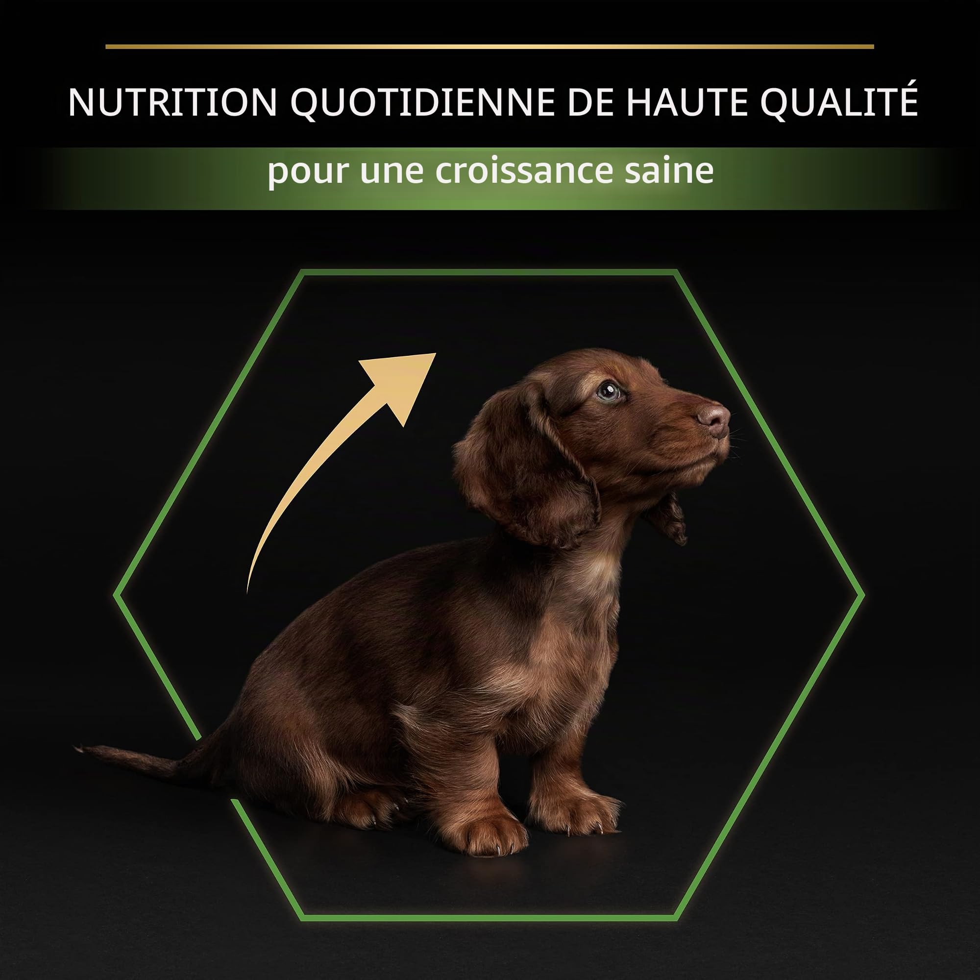 Purina Pro Plan Lot de 4 Petits Chiots et Mini avec OPTISTART Poulet 3 kg