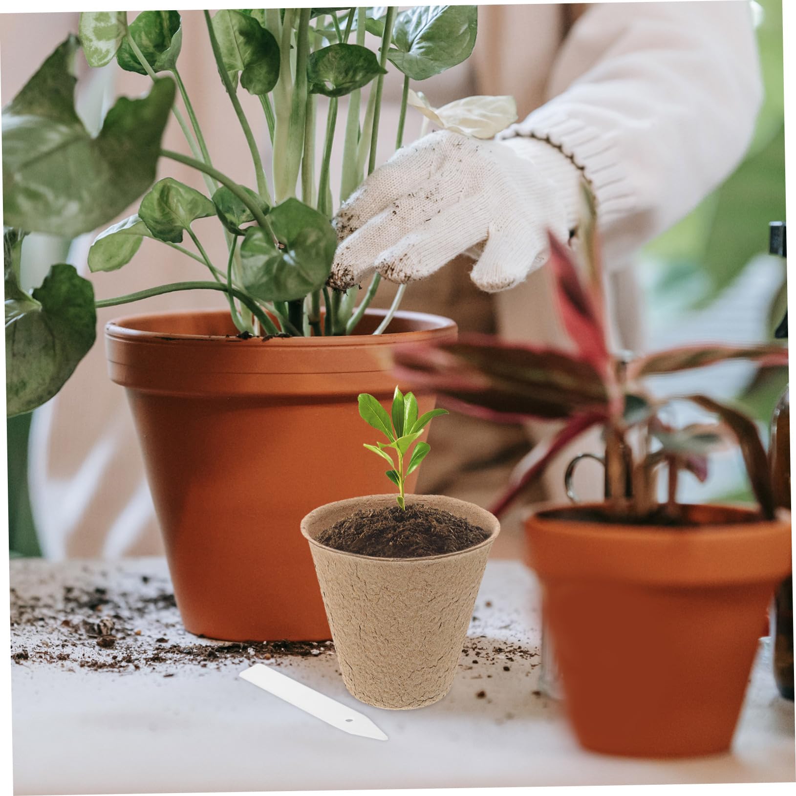 ifundom 110pièces Pots De Semis De Pépinière pour Transplantation Pots De Tourbe De Démarrage Recyclé avec Étiquettes pour Plantes
