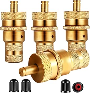Dsycar 4Pcs Tire Deflator Kit Universal Adjustable Off The Road Accessories Kit Automatic Tire Deflators 6-30 PSI, for Car, Truck, Motorcycle - Gift 4 Valve Stem Caps