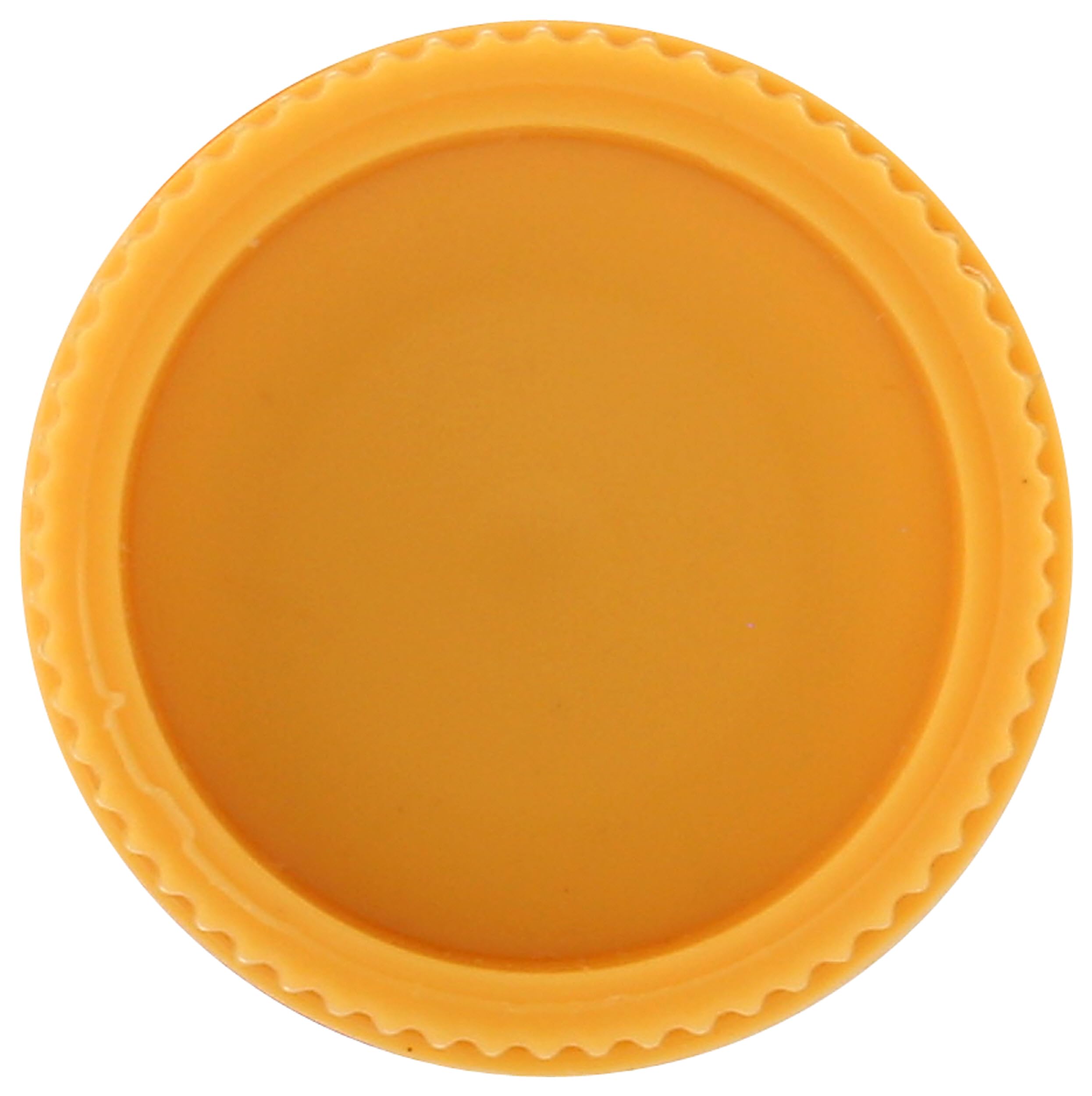 BURTS BEES Berry Agua Fresca Lip Balm, 0.15 OZ