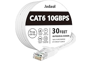 Cat 6 Ethernet Cable 30 Feet Long: Reliable and Versatile Connection for...