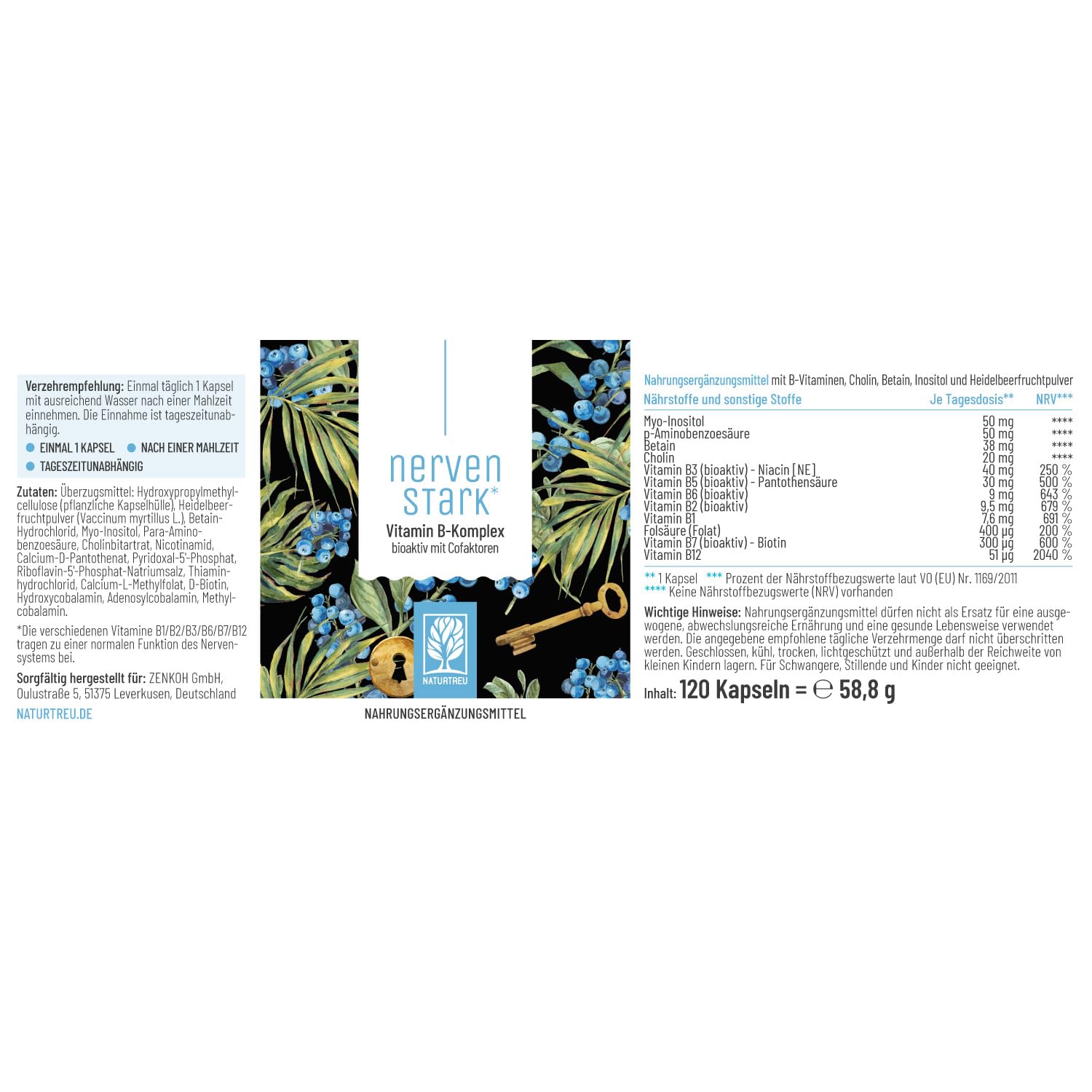 Vitamin B Komplex (B1-B12) mit 3 Kofaktoren aktiv - Alle 8- B Vitamine - B Vitamin Komplex hochdosiert mit Cofaktoren - Nervenstark *