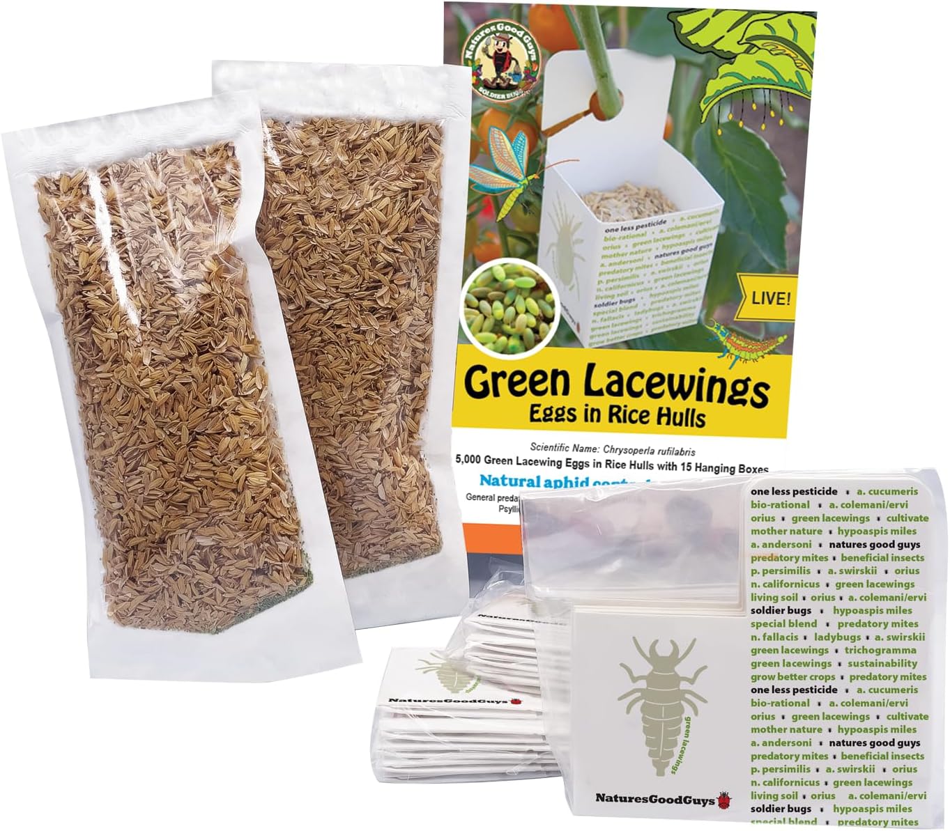 Green Lacewing 5,000 Eggs