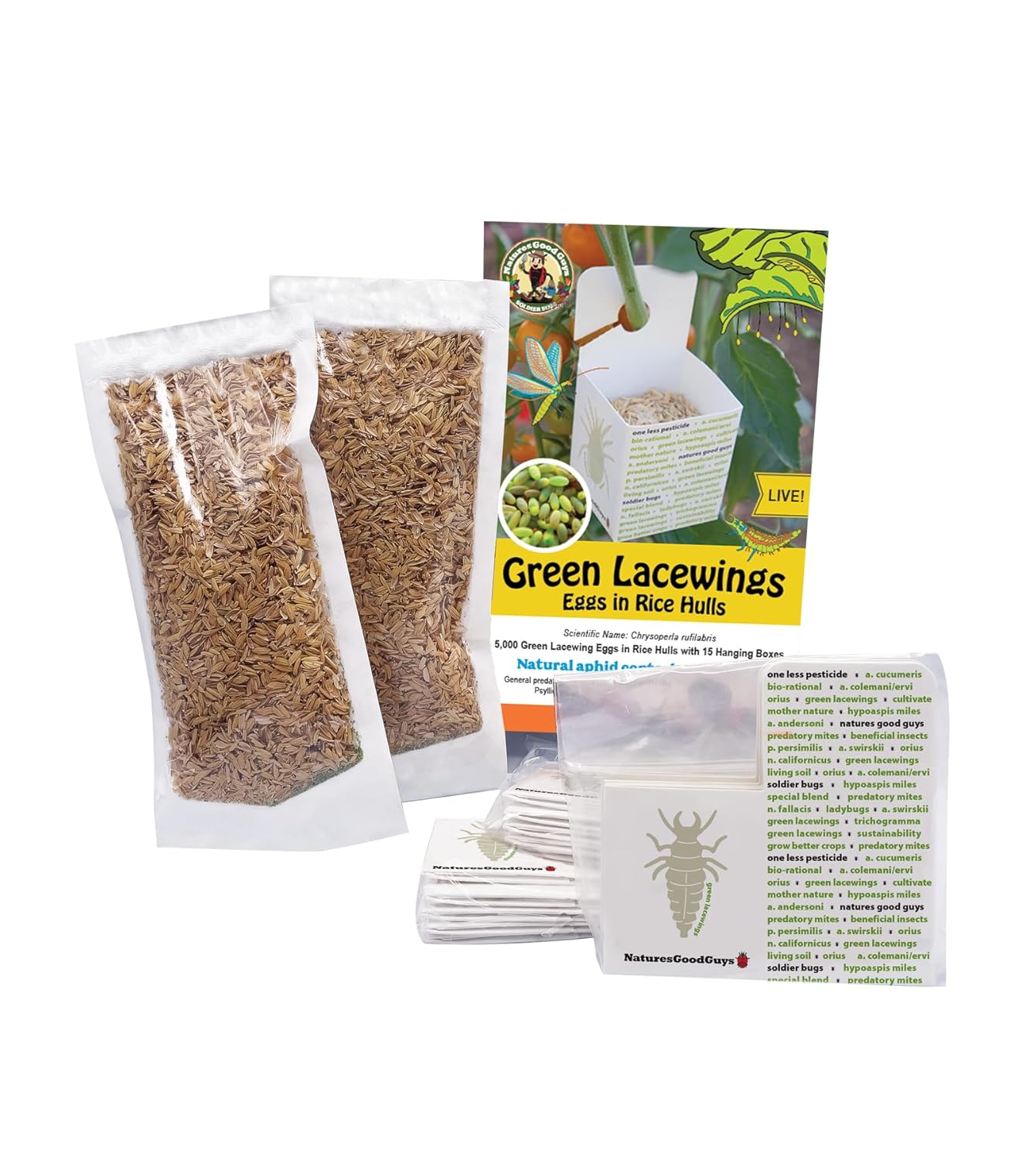 Green Lacewing 5,000 Eggs