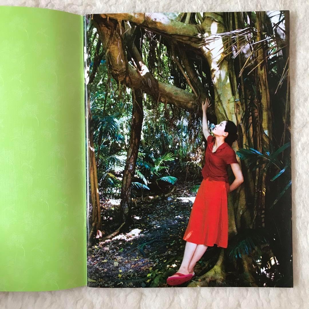 映画真夏の夜の夢パンフレット グッズ z 日劇ミュージックホール 夏の夜の