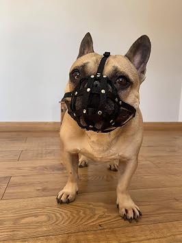 Dog Muzzle for French Bulldog "Frenchies" a Other similar snouts short snout FB0, Black