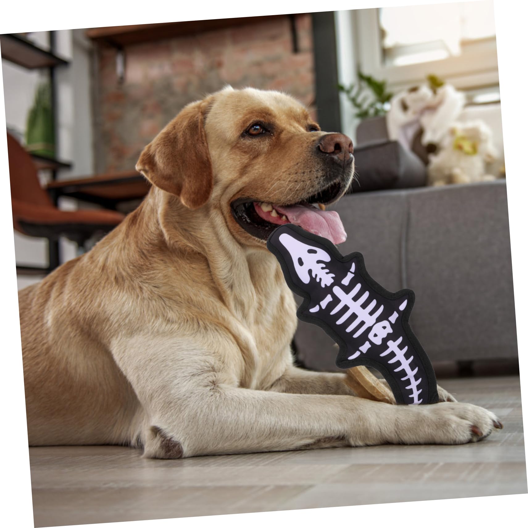 BESPORTBLE Jouet Couineur pour Chiens en Tissu Oxford Noir, Jouet Molaire Interactif pour Animaux de Compagnie, Soulagement de L'anxiété et Stimulation Vocale, pour Mâcher et Jouer