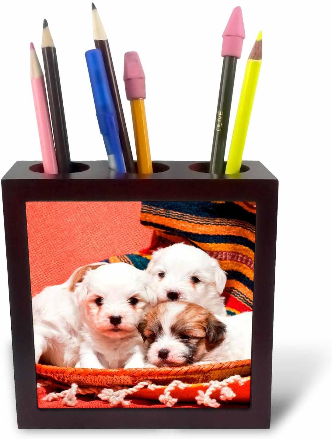 3dRose ph_88089_1 Coton De Tulear Puppy Dogs-Us03 Zmu0020-Zandria Muench Beraldo-Tile Pen Holder, 5-Inch