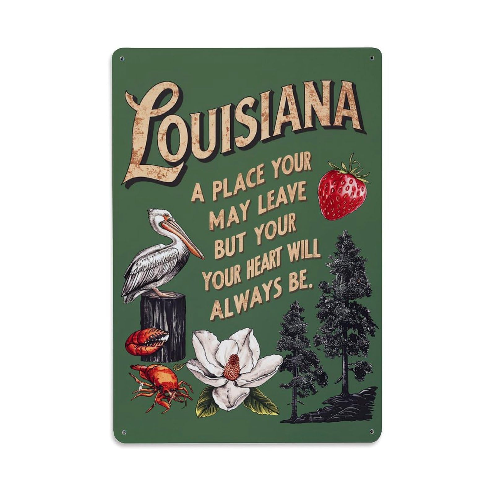 Jdfenggu Vintage Louisiana Place Your Heart Retro Metal Tin Sign, Metal Poster For Bar, Home, Man Cave, Kitchen, Laundry Room Art Decor 8X12 Inch