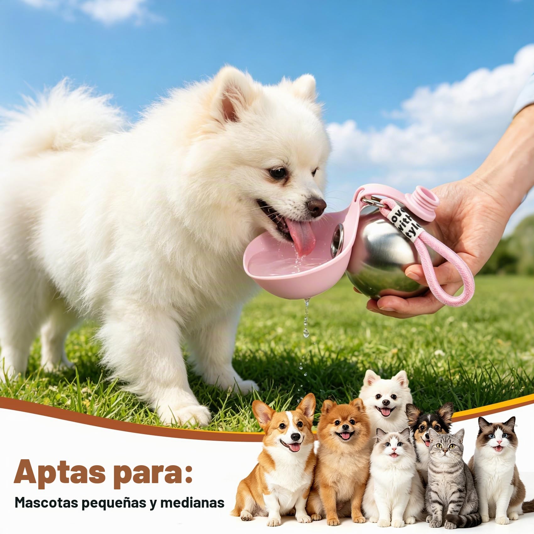 Bebedero Portátil para Perros, 285ml Botella de Agua para Perros de Acero Inoxidable, Botella Antifugas con Cuenco Plegable de Silicona, Botella de Agua Portátil para Pasear, Viajar y Acampar